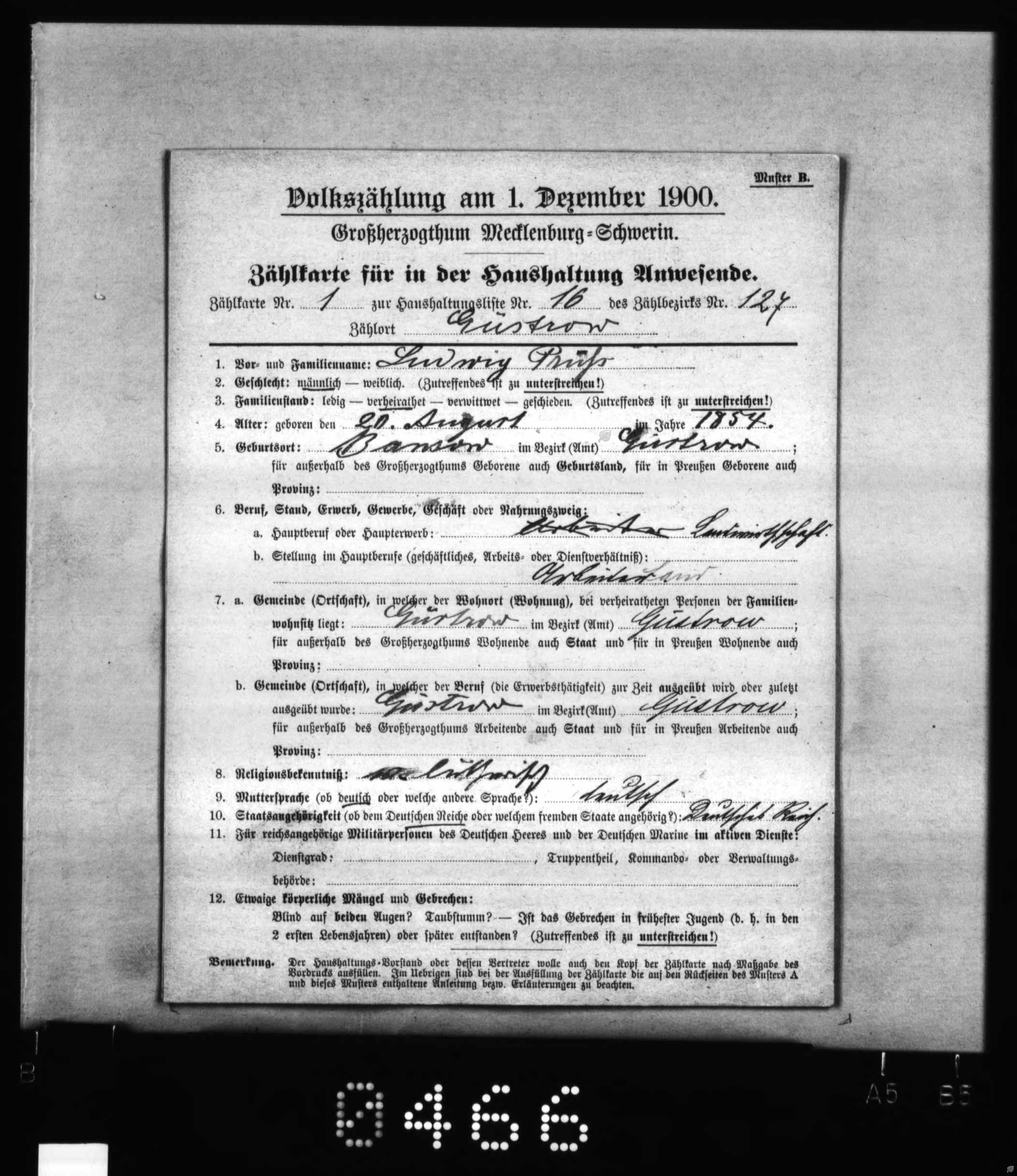 Mecklenburg-Schwerin, Germany, Census, 1900