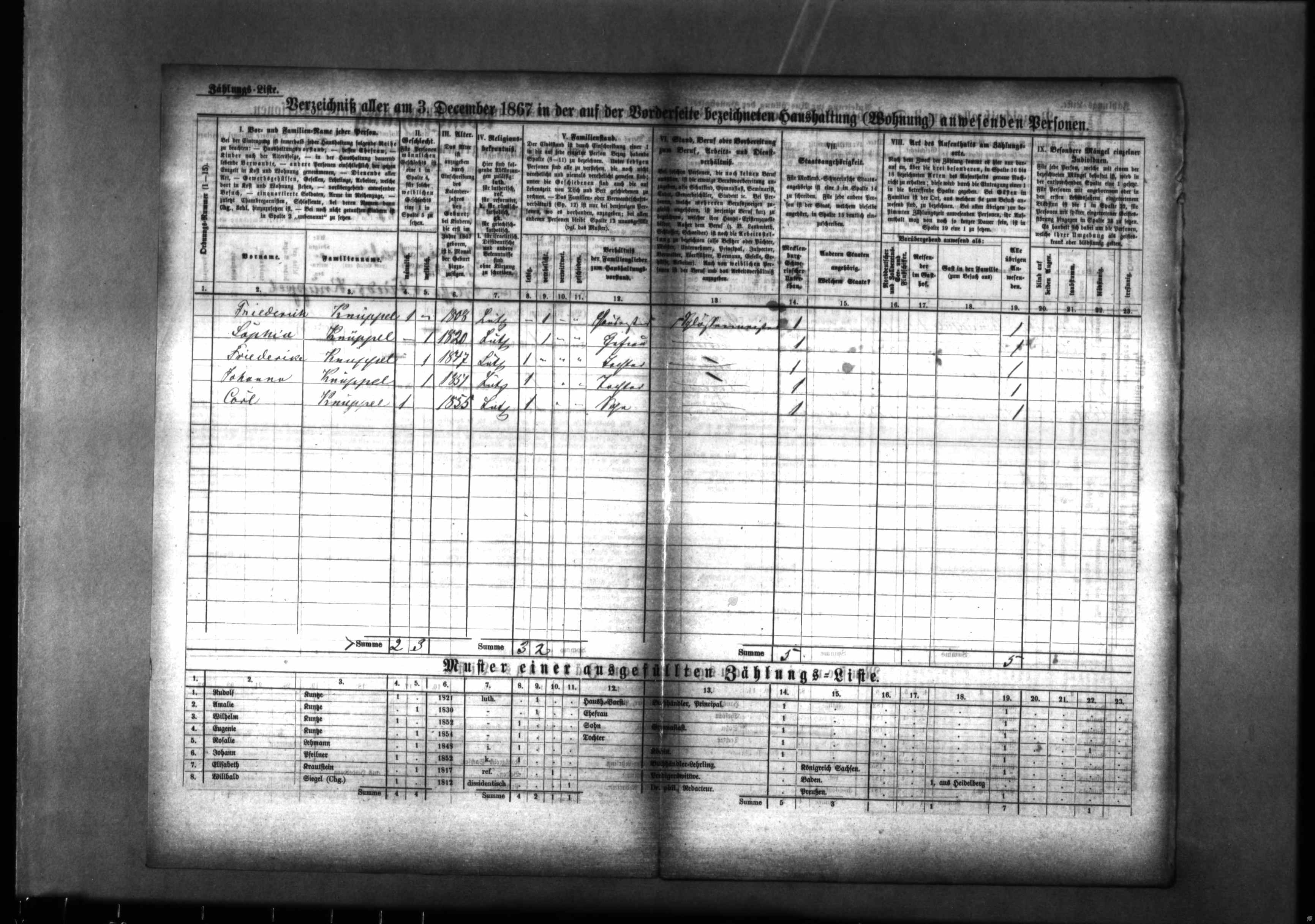 Mecklenburg-Schwerin, Germany, Census, 1867